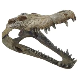 repto-ozdoba-terrarium-czaszka-krokodyla-na-zawiasach-25-x-13-x-9-cm