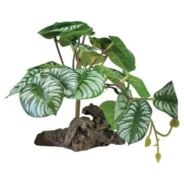 repto-stojaca-roslina-begonia-realistyczna-ozdoba-terrarium-23-x-19-cm