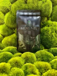 moss-mix-moss-base-mix-zarodnikow-mchow-i-paproci-gotowy-zestaw