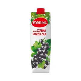 fortuna-nektar-z-czarnej-porzeczki-1-l