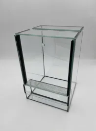 am-amazoonia-terrarium-szklane-premium-gilotyna-dla-ptasznika-20x20x40cm
