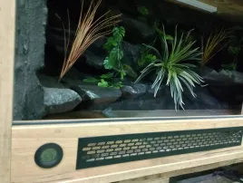 terrarium-z-plyty-meblowej-scianka-termometr-higrometr-140x60x60cm-lodz