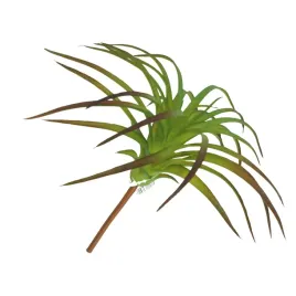 am-amazoonia-sztuczna-oplatwa-tillandsia-do-terrarium-16-cm