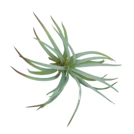 am-amazoonia-sztuczna-oplatwa-jasna-tillandsia-do-terrarium-16-cm