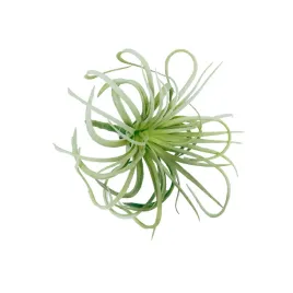 am-amazoonia-sztuczna-oplatwa-jasna-tillandsia-gesta-do-terrarium-19-cm