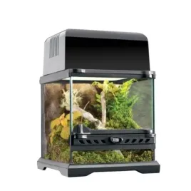 exo-terra-terrarium-szklane-nano-wide-20-x-20-x-20-cm