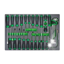 zestaw-narzedzi-srubokretow-wklad-wkretaki-sl-ph-31el-toptul-ged3102