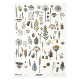 papier-ryzowy-do-decoupage-a4-itd-r2558-suszone-kwiatki-ziola