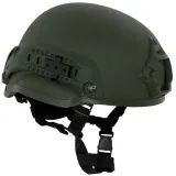 helm-mfh-mich-2002