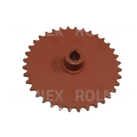kolo-lancuchowe-poznaniak-z-36-or-3043140011