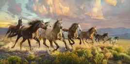 puzzle-4000-el-c-400430-2-thunder-prairie