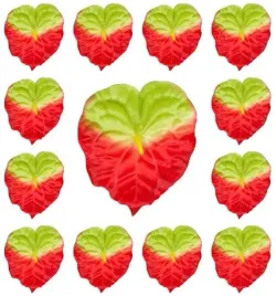 anturium-glowka-red-green-12-sztuk