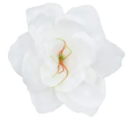 amarylis-glowka-white-sztuczne-kwiaty