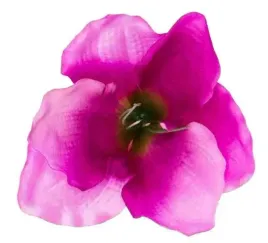 amarylis-glowka-sztuczne-kwiaty-dk-pink-green