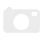 bosch-1-460-362-310