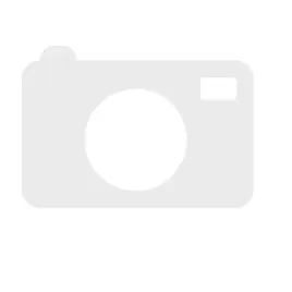 bosch-1-460-362-310