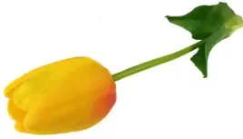 tulipan-gumowy-silikonowy-jak-zywy-galazka-yellow