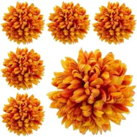 chryzantema-ananas-glowka-6-szt-kwiat-orange-brown