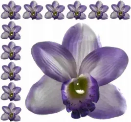 storczyk-cymbidium-glowka-kwiat-violet-12-szt