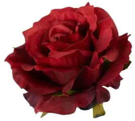 roza-satynowa-sliczna-glowka-rozwinietej-rozy-dk-red