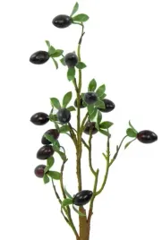 oliwka-piekna-galazka-z-owocami-70-cm-owoce-oliwki-jak-zywe