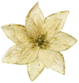 poinsecja-brokat-gold-gwiazda-betlejemska