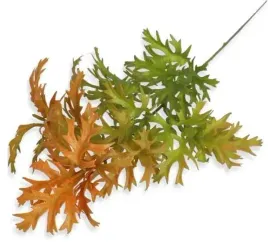 starzec-galazka-ozdobna-do-bukietow-orange-green