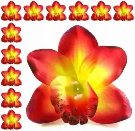 storczyk-cymbidium-glowka-kwiat-red-yellow-12-szt