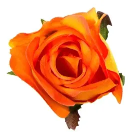 roza-w-paku-glowka-orange