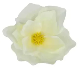 magnolia-glowka-kwiatowa-sztuczne-kwiaty-cream