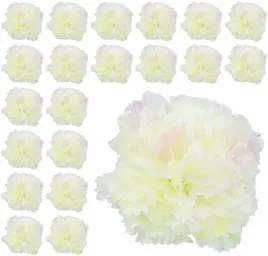 gozdzik-glowka-cream-pink-24-szt-hurt