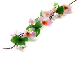 galazka-jabloni-kwiaty-pink-cream-jablon-70cm