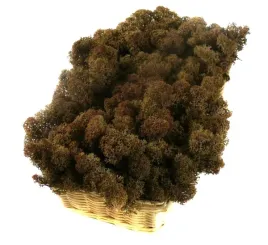 mech-ozdobny-chrobotek-reniferowy-200g-brown