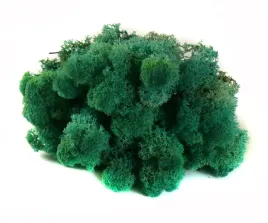 mech-ozdobny-chrobotek-reniferowy-50g-pacific