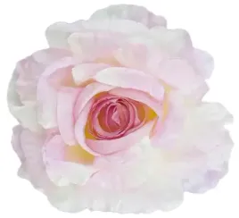 roza-satynowa-duza-piekna-glowka-lt-pink-edge