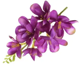 frezja-miesista-glowka-kwiat-lt-purple
