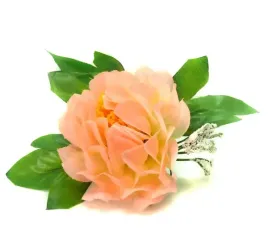 peonia-glowka-z-lisciem-kwiat-peach