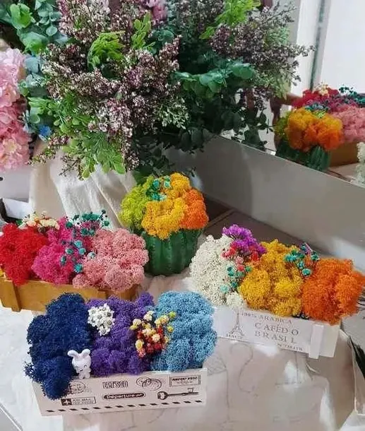 mech-chrobotek-reniferowy-200g-silver-marka-myflowers