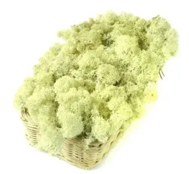 mech-chrobotek-reniferowy-200g-natural