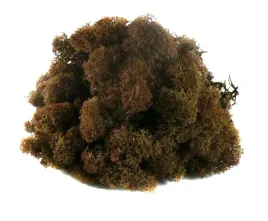 mech-ozdobny-chrobotek-reniferowy-50g-brown