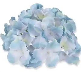 hortensja-glowka-satyna-cream-blue