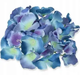 hortensja-glowka-satyna-blue-green