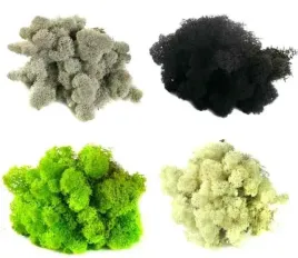 mech-chrobotek-reniferowy-mix-kolor-4-kolory-mix7