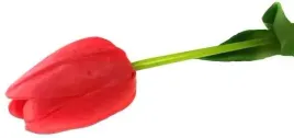 tulipan-gumowy-silikonowy-jak-zywy-galazka-red
