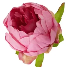 peonia-glowka-wyrobowa-piwonia-kwiat-pink-purple