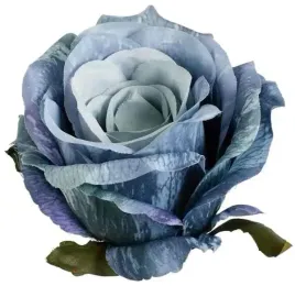 roza-satynowa-sliczna-glowka-lekko-rozwijajacej-sie-rozy-autumn-blue