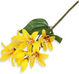 forsycja-galazka-z-listkami-yellow