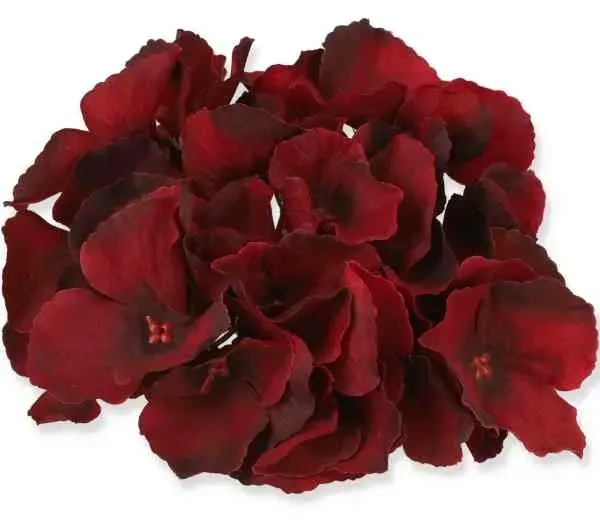 hortensja-glowka-satyna-dk-red