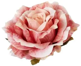 roza-satynowa-sliczna-glowka-rozwinietej-rozy-autumn-peach