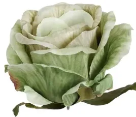 roza-satynowa-sliczna-glowka-lekko-rozwijajacej-sie-rozy-autumn-green
